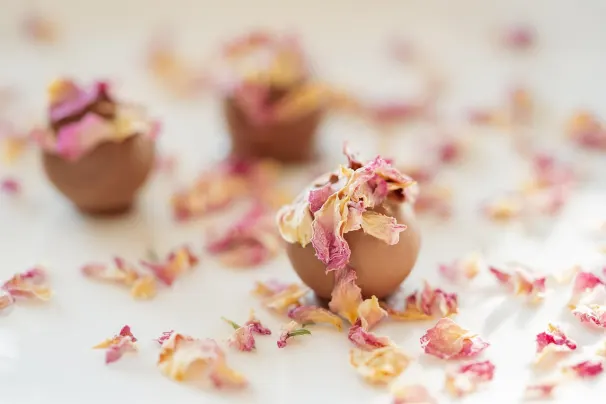 カジノ サン パレス Android/iOS アプリ